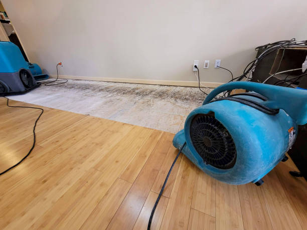 Professional Emergency Water Damage technician working in Macks Creek, MO